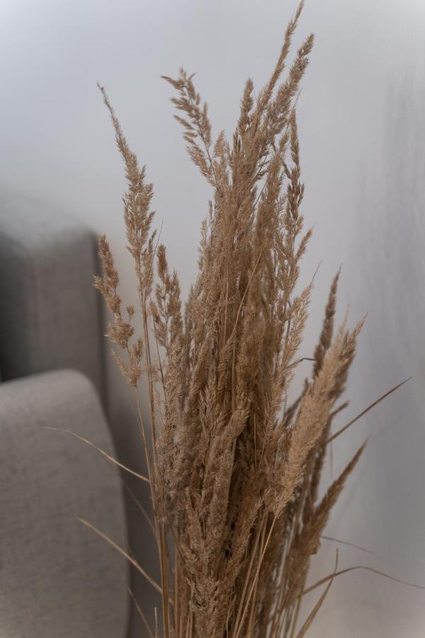 Apartamenty Munn 3 什切青 外观 照片